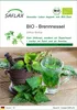 A close-up of nettle leaves in a mortar and pestle next to a glass of nettle tea, with product information and branding at the top. Produktbild-Vorschau