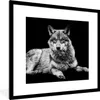 MuchoWow® Gerahmtes Poster Wildlife - Wolf - Schwarz - Weiß Produktbild-Vorschau 1