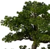 Künstlicher Bonsai-Baum POLIN, schwarze Keramikschale, 72 x Produktbild-Vorschau 3