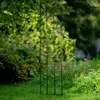 Jardin Terrasse Pergola pour rosiers - Idéal acier noir Voir les images du produit 4