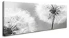 Visario Leinwandbild Pusteblume 120x40 cm – Bild Wandbild Produktbild-Vorschau 1