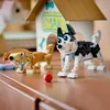 LEGO 31137 Creator 3in1 Niedliche Hunde Set mit Dackel-, Produktbild-Vorschau 26