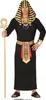 A man dressed in a black Egyptian pharaoh costume holding a golden staff. Podgląd zdjęcia produktu