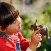 schleich Wild Life Elefant afrikanisch Bulle 12,3cm Produktbild-Vorschau 7