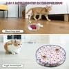 2-in-1 Katzenspielzeug mit Matte und Ball, automatisch, Produktbild-Vorschau 4