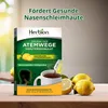 Herbion Naturals Atemwegspflege-Granulat mit natürlichem Produktbild-Vorschau 8