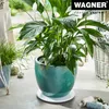 WAGNER Pflanzenroller ULTRAFLAT Ø 30 x 3 cm, für innen, ABS Produktbild-Vorschau 3