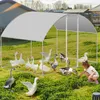Jopassy recinto ruspante casa del pollo tetto a cupola 3 x Anteprima dell’immagine prodotto 7