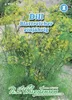 Dill Gewöhnlicher Blattreicher | Dillsamen von N.L. Produktbild-Vorschau 1