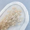 Orientalische Schwarzkümmelblume Getrocknete - (Nigella Produktbild-Vorschau 2