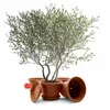 BigDean 1 Stück Blumentopf mit Untersetzer rund ø 40 cm Produktbild-Vorschau 2