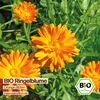 Samenliebe  Ringelblume Samen | Wildblume - orange & Produktbild-Vorschau 4