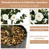 COSTWAY Arbre artificiel 2 avec 24 fleurs, camélia Voir les images du produit 4