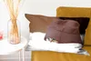 MuchoWow® Zierkissen Sofakissen Wohnzimmer Dekokissen 60x40 Produktbild-Vorschau 6