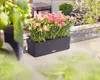 Samozavlažovací hrantík Lechuza Balconissima 40 cm sivý Náhľad obrázku produktu 5