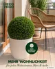 Buis au Boule Décoratif 28 cm Artificielle Plantes Decovego Voir les images du produit 3