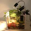 A small terrarium with a turtle, plants, and a lamp with two heads. Voir les images du produit