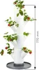 Gusta Garden SISSI STRAWBERRY starter samozavlažovací Náhled obrázku produktu 3