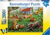 Entdecker auf vier Pfoten Ravensburger 12828 Produktbild-Vorschau 1