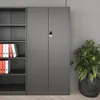 A gray metal office cabinet with shelves next to it, and a plant in a pot. Podgląd zdjęcia produktu
