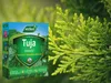 Thuja-Dünger 1 l - Hochwertig - Nährstoffreich - Für Garten Produktbild-Vorschau 4