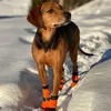 Non-stop dogwear Hundeschuhe Contact Bootie High orange, Produktbild-Vorschau 5