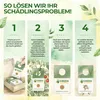 Eretmocerus Schlupfwespen gegen weiße Fliegen & Produktbild-Vorschau 3