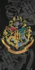 Harry Potter Badehandtuch, Strandtuch 70*140cm Produktbild-Vorschau 5