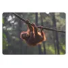 MuchoWow® Mauspad Mousepad Junger Orang-Utan hängt an einem Produktbild-Vorschau 1