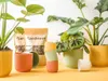 Elho Blumentopf Vibes Fold Ø 16 x 15 cm sorbet grün Produktbild-Vorschau 8