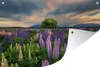 MuchoWow® Produktbild-Vorschau 1