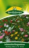 Quedlinburger Saatgut - Schmetterlingswiese Mischung - Produktbild-Vorschau 3