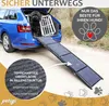 Hunderampe mit rutschfesten Teppich 180 cm klappbar für Produktbild-Vorschau 5