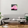 Bilder auf glas - Tulpen Tau Steine Pflanze - 40x40cm - Produktbild-Vorschau 6