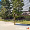 WORHAN rampa per sedie a rotelle pieghevole 272 kg rampa Anteprima dell’immagine prodotto 11