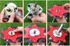 A collage of six images showing the assembly of a trimmer blade attachment. Anteprima dell’immagine prodotto