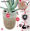 A close-up of a ceramic pot with an aloe vera plant, featuring marketing graphics and text. Produktbild-Vorschau