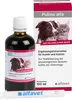 Alfavet Pulmo alfa 100 ml | Abwehrkräfte der Atemwege | Produktbild-Vorschau 2