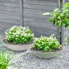 Flache Pflanzschale für draussen Dekoschale rund Rost-Optik Produktbild-Vorschau 5
