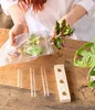 Dehner Waterplant Set, Wasserpflanzen in Reagenzgläsern, Produktbild-Vorschau 7