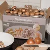 Hawlik Pilzbrut Steinchampignonkultur klein – Pilzzucht Set Produktbild-Vorschau 10
