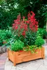 BOGATECO Pflanzkasten Pflanzkübel aus Holz | Blumen-Topf Produktbild-Vorschau 3
