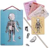 JANOD Body Magnet Puzzle Jeu magnétique Puzzle magnétique Voir les images du produit 7