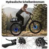 TTGO E-Bike 28x2,4 Zoll, 110km, 70 Nm Hinterradmotor, C5, Produktbild-Vorschau 15