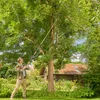 Gardena nożyce do gałęzi Pro L 12081-20 Podgląd zdjęcia produktu 4
