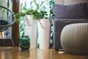 A living room scene with plants, a sofa, and a chair. Anteprima dell’immagine prodotto