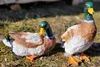 2 Stück Enten Entenfiguren stehend/liegend Dekoration Haus Produktbild-Vorschau 4