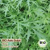 Samenliebe  Asia Salat Samen | Mizuna - winterhart & mild - Produktbild-Vorschau 4