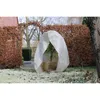 A plant covered by a protective fleece in a garden setting during winter. Náhľad obrázku produktu