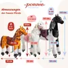 A size chart showing different sizes of toy horses with measurements. Anteprima dell’immagine prodotto